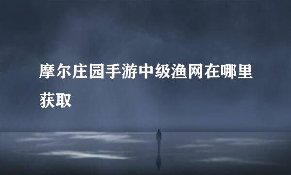 摩尔庄园手游中级渔网在哪里获取