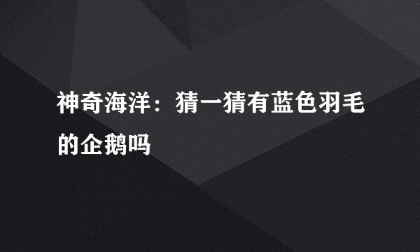 神奇海洋：猜一猜有蓝色羽毛的企鹅吗