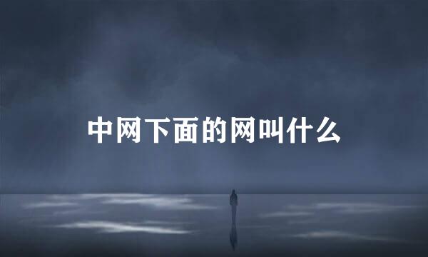 中网下面的网叫什么