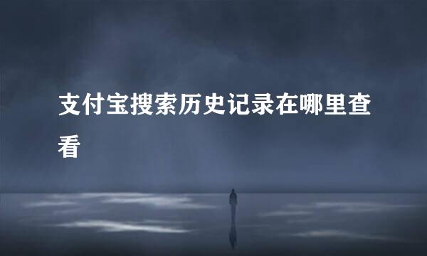 支付宝搜索历史记录在哪里查看