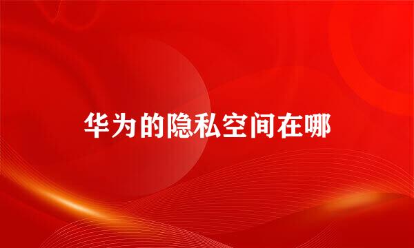 华为的隐私空间在哪