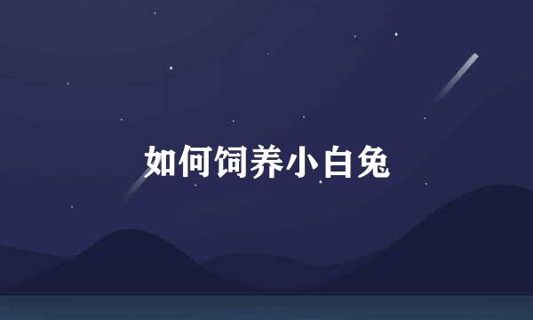 如何饲养小白兔