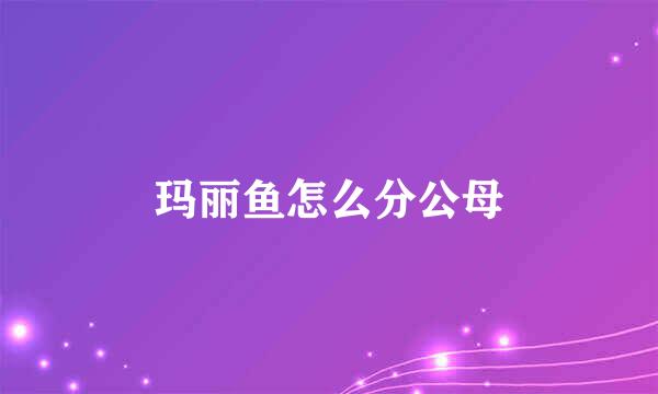 玛丽鱼怎么分公母