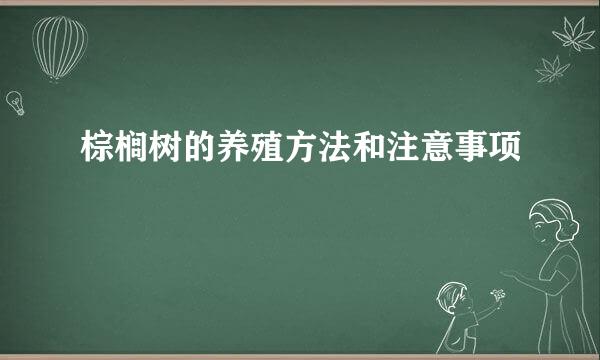 棕榈树的养殖方法和注意事项