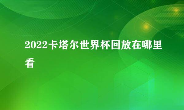 2022卡塔尔世界杯回放在哪里看
