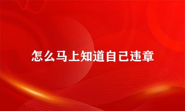 怎么马上知道自己违章