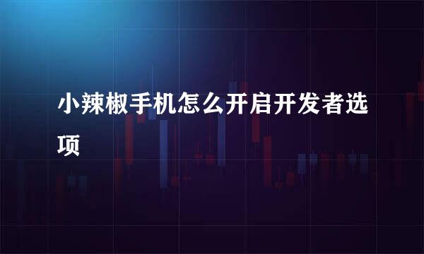 小辣椒手机怎么开启开发者选项