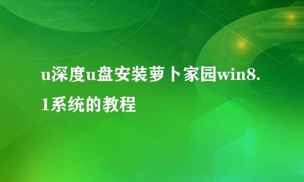u深度u盘安装萝卜家园win8.1系统的教程
