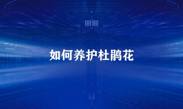 如何养护杜鹃花