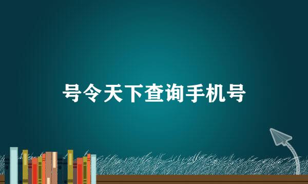 号令天下查询手机号
