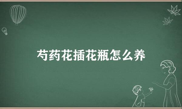 芍药花插花瓶怎么养
