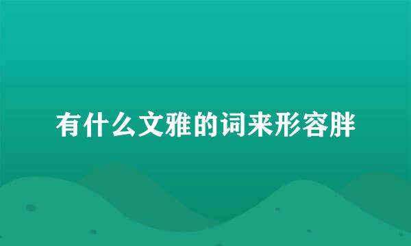 有什么文雅的词来形容胖