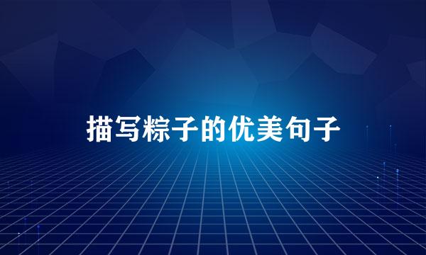 描写粽子的优美句子
