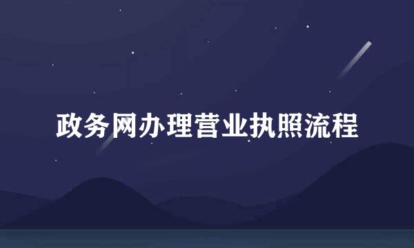 政务网办理营业执照流程