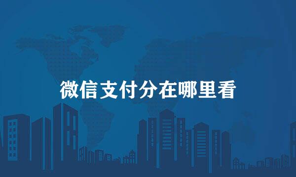 微信支付分在哪里看