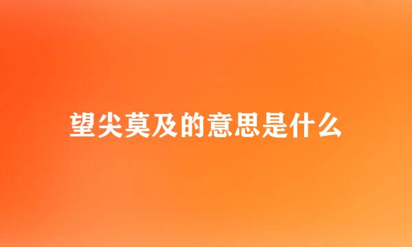 望尖莫及的意思是什么