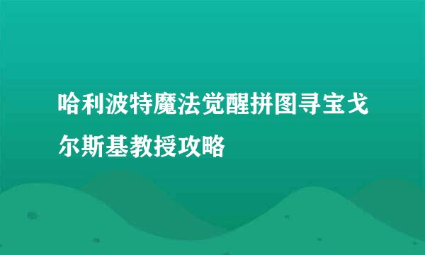 哈利波特魔法觉醒拼图寻宝戈尔斯基教授攻略