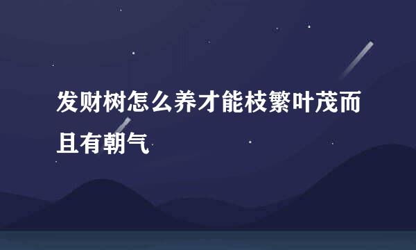 发财树怎么养才能枝繁叶茂而且有朝气