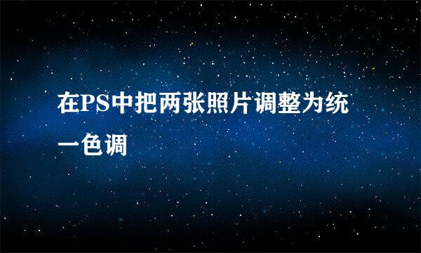 在PS中把两张照片调整为统一色调