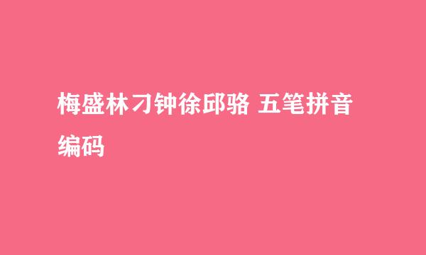梅盛林刁钟徐邱骆 五笔拼音编码