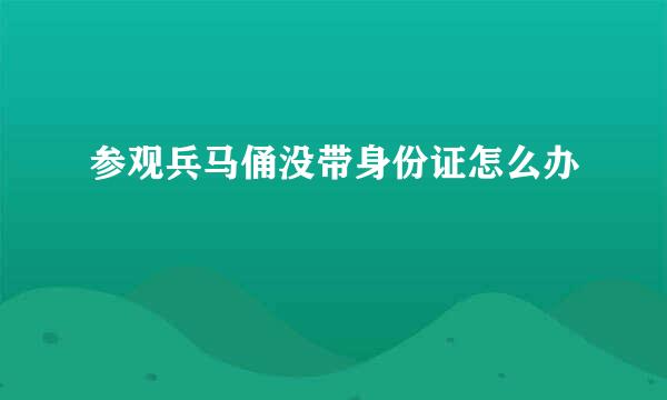 参观兵马俑没带身份证怎么办