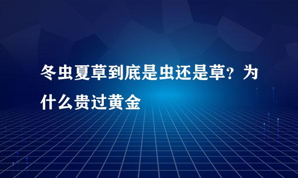 冬虫夏草到底是虫还是草？为什么贵过黄金