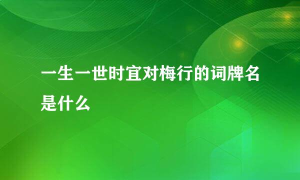 一生一世时宜对梅行的词牌名是什么