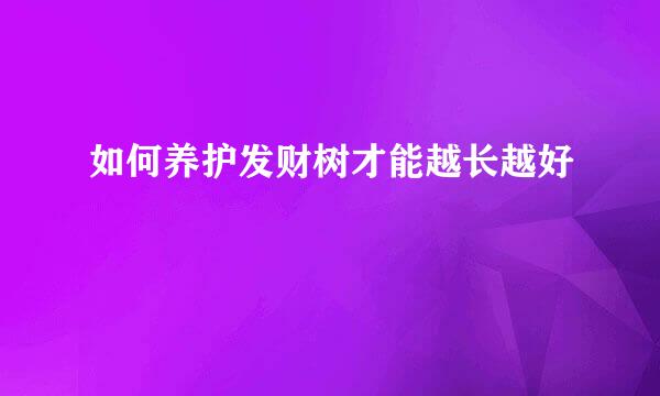 如何养护发财树才能越长越好