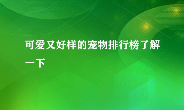 可爱又好样的宠物排行榜了解一下