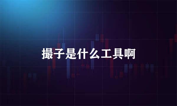 撮子是什么工具啊