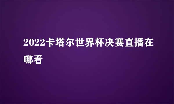 2022卡塔尔世界杯决赛直播在哪看