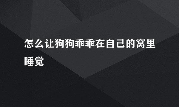 怎么让狗狗乖乖在自己的窝里睡觉