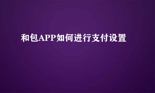 和包APP如何进行支付设置