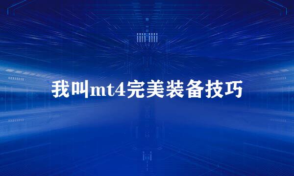 我叫mt4完美装备技巧
