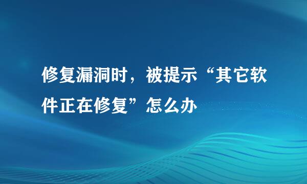 修复漏洞时，被提示“其它软件正在修复”怎么办