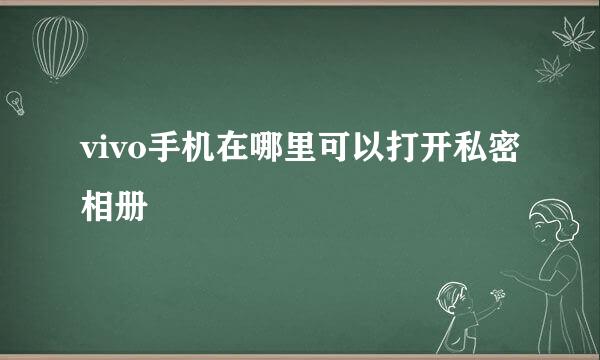 vivo手机在哪里可以打开私密相册