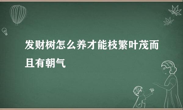 发财树怎么养才能枝繁叶茂而且有朝气