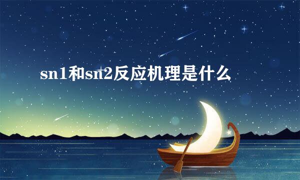 sn1和sn2反应机理是什么
