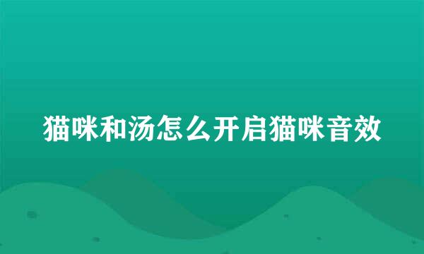 猫咪和汤怎么开启猫咪音效