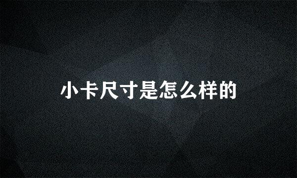 小卡尺寸是怎么样的