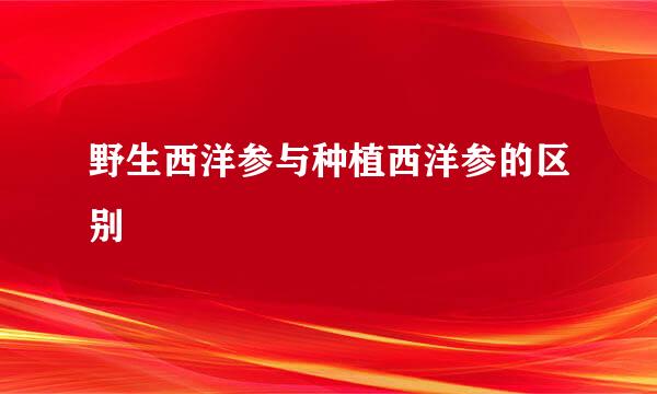 野生西洋参与种植西洋参的区别