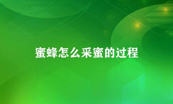 蜜蜂怎么采蜜的过程