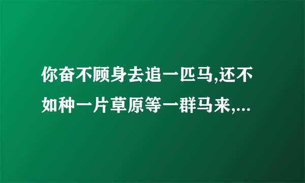 你奋不顾身去追一匹马,还不如种一片草原等一群马来,原话怎么说