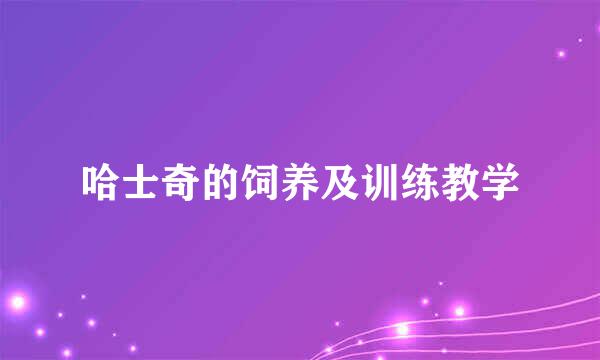 哈士奇的饲养及训练教学