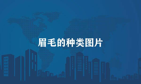 眉毛的种类图片