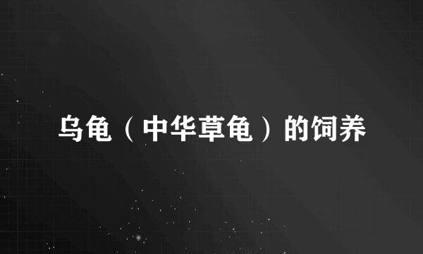 乌龟（中华草龟）的饲养