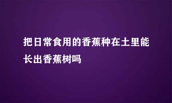把日常食用的香蕉种在土里能长出香蕉树吗
