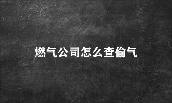 燃气公司怎么查偷气