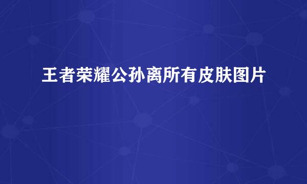 王者荣耀公孙离所有皮肤图片