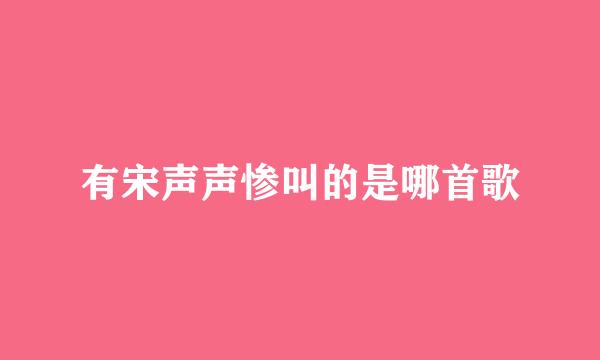 有宋声声惨叫的是哪首歌